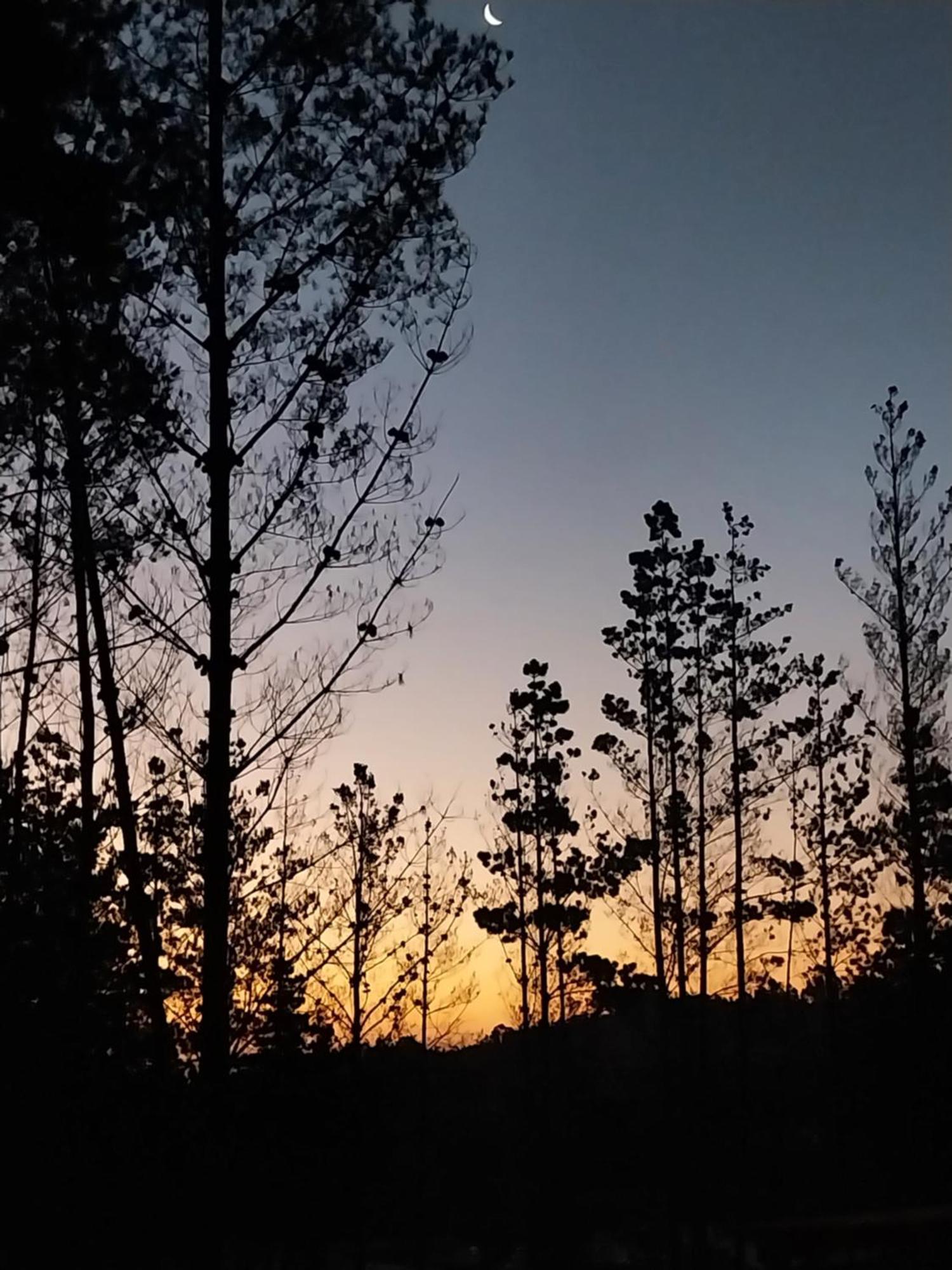 Laguna *