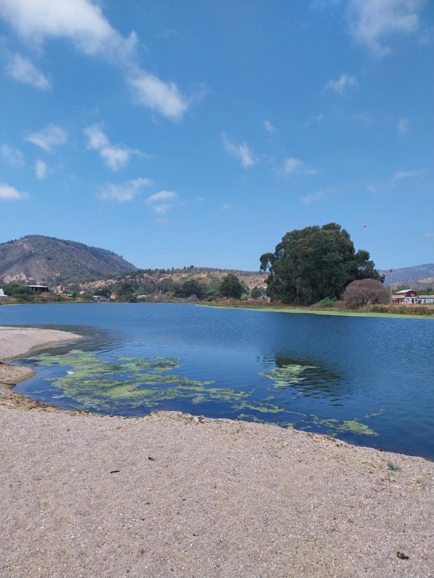 Laguna