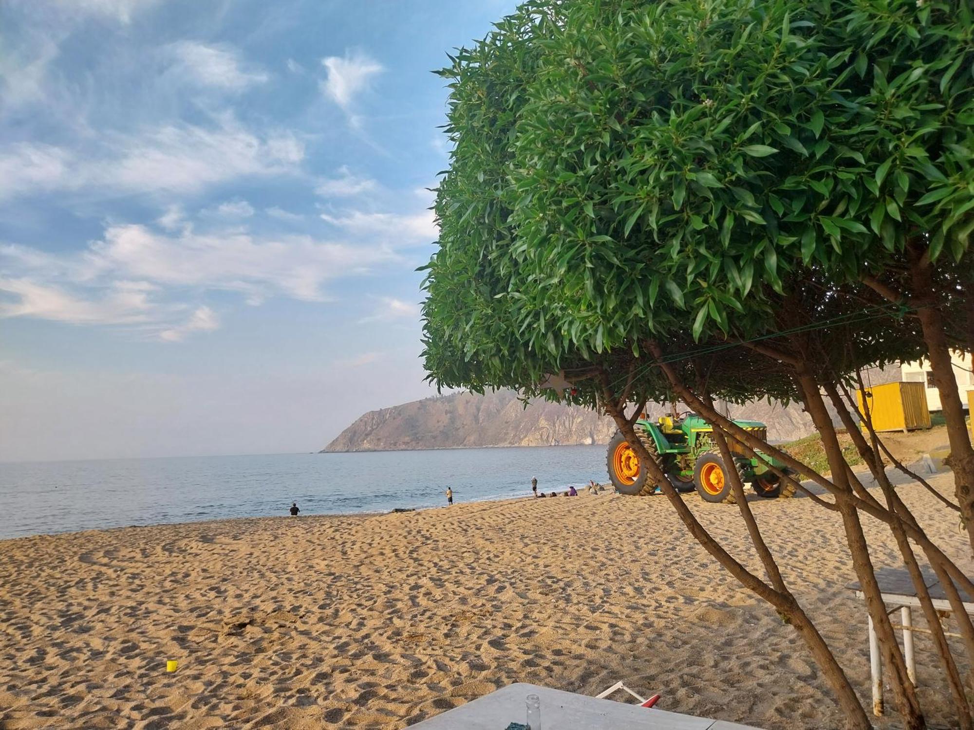 Laguna *