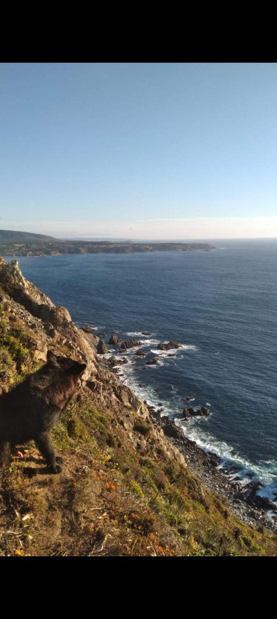 Laguna * Valparaíso