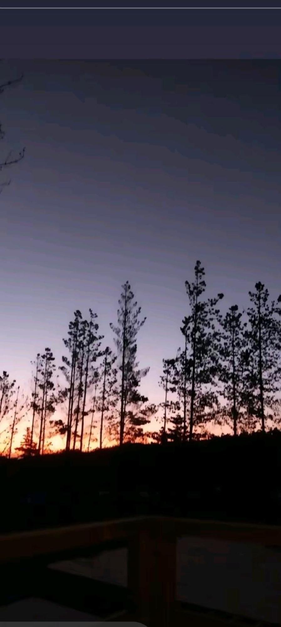Laguna *