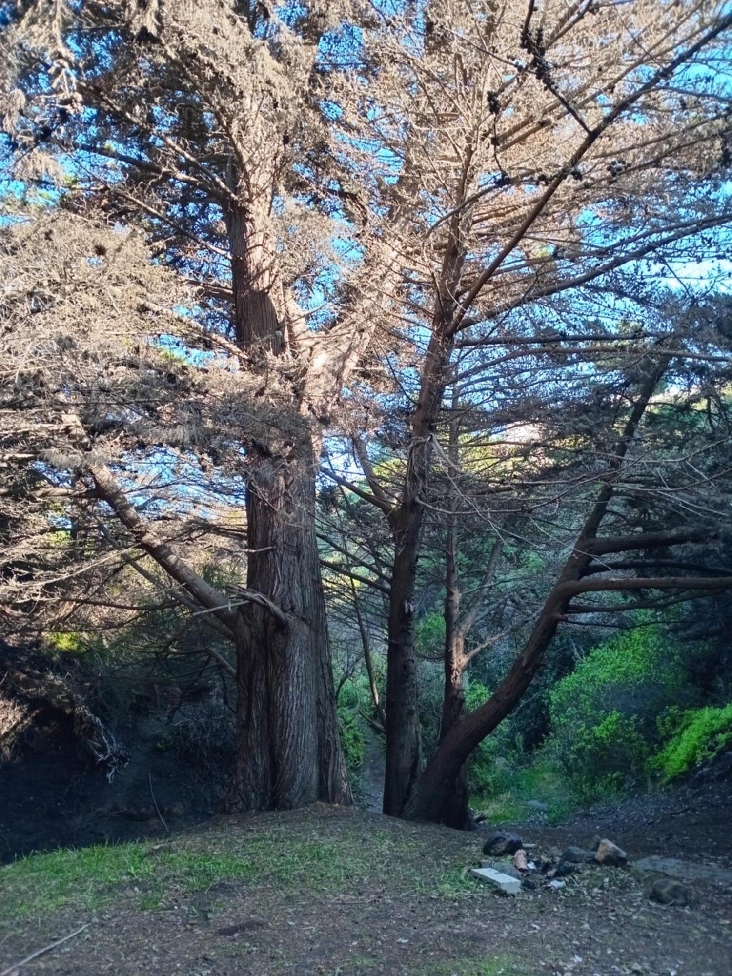 Laguna Valparaíso